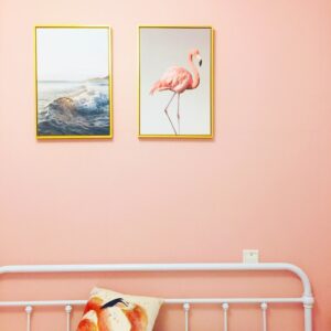 Flamingo Art Print